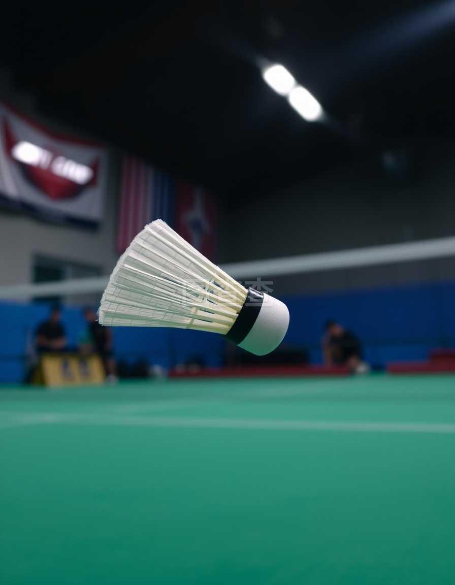 曼的主教练 曼的主教练