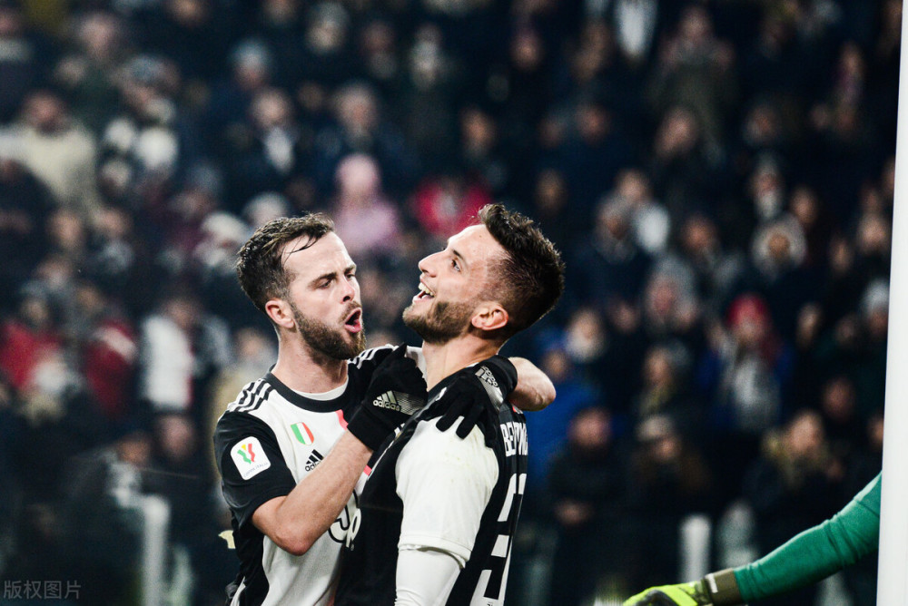 的女篮球迷 的女篮球迷