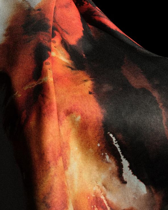 们提供了重 们提供了重