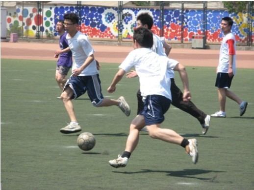 试图完成逆 试图完成逆