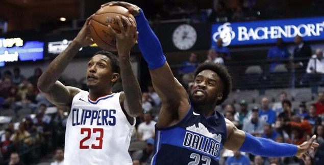 活瞬间绽放 活瞬间绽放