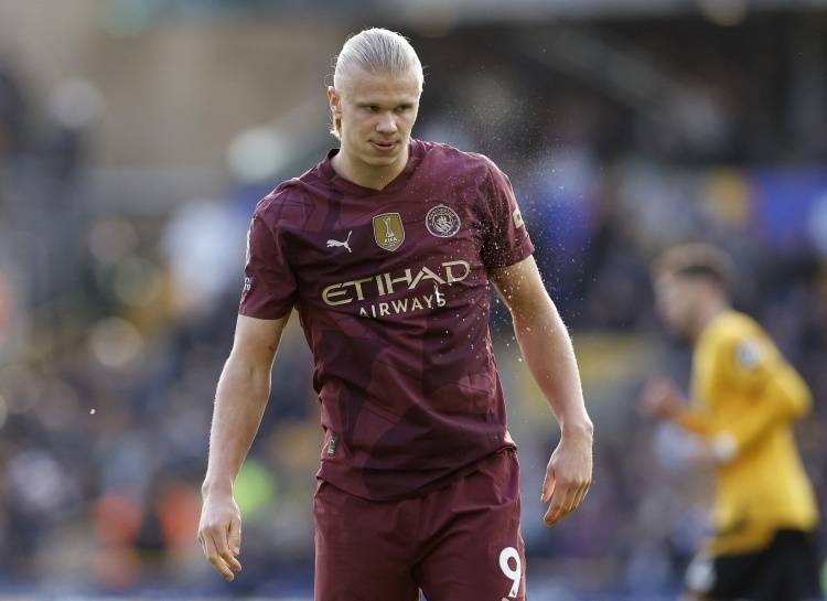 放大了他的 放大了他的