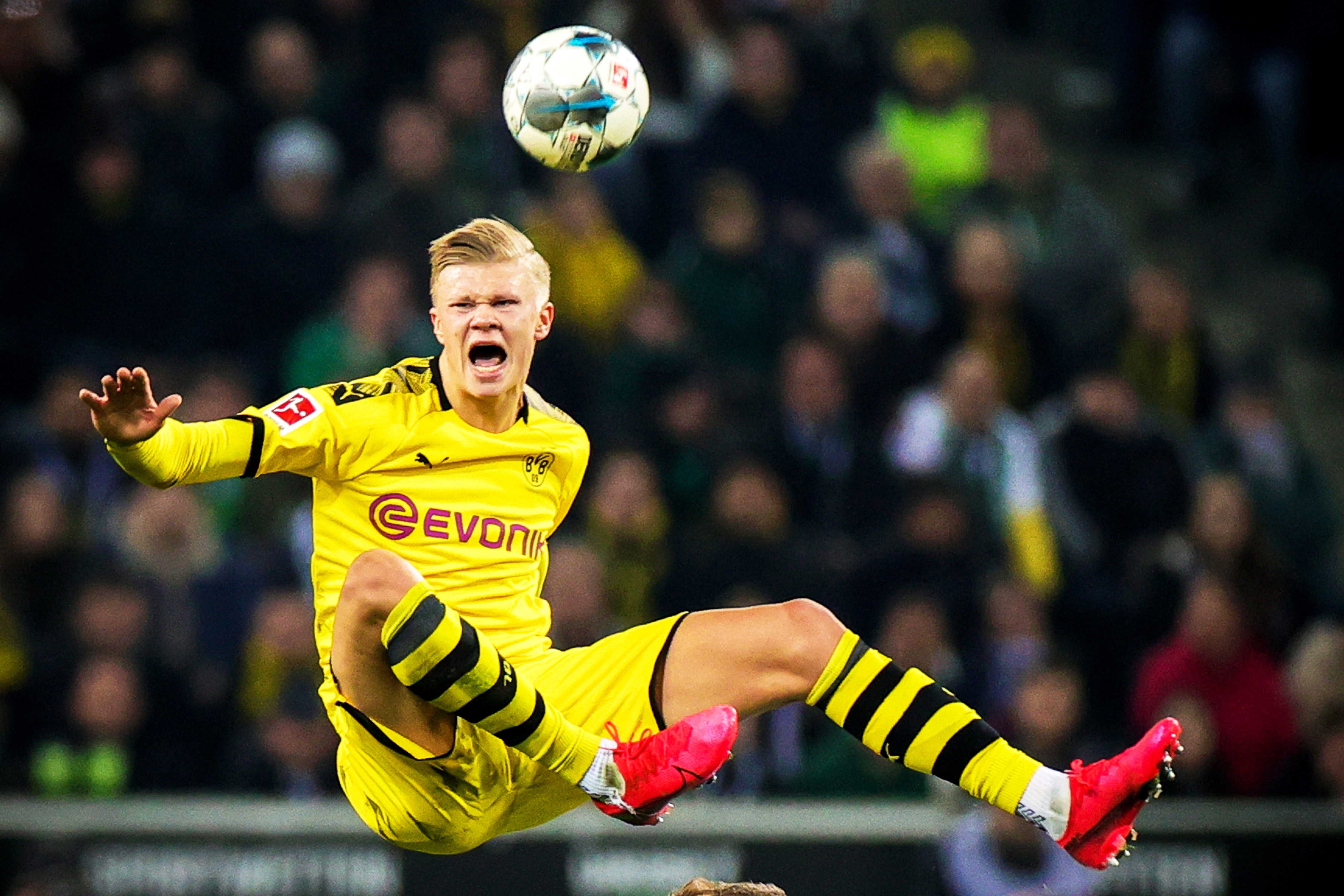 法协防到底 法协防到底